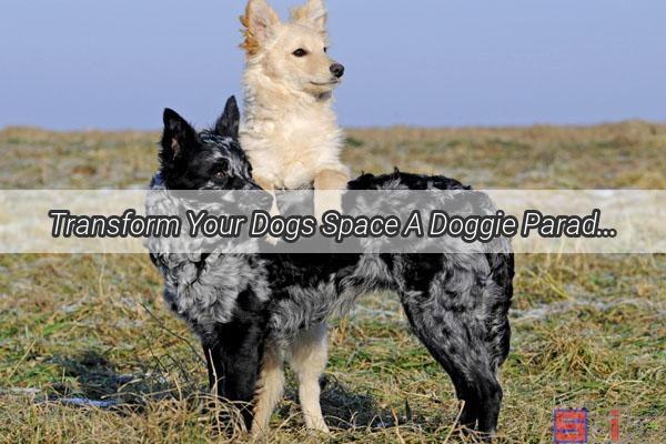 Transform Your Dogs Space A Doggie Paradise Inside the Kids Playpen